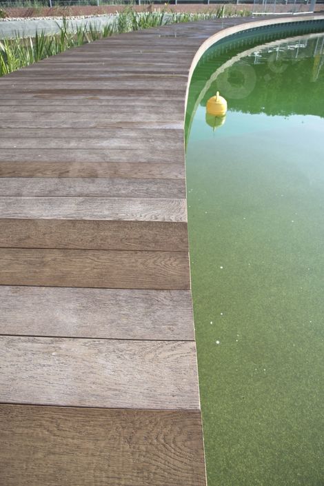 Desky millboard pokrývající molo nad vodní hladinou biotopu Oslavany.