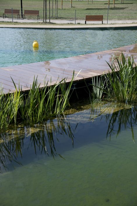 Molo oddělující filtrační a koupací jezero biotopu Oslavany
