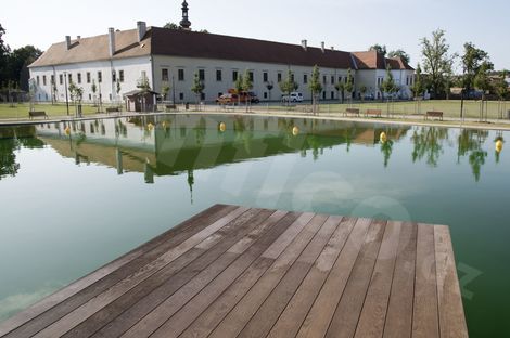 Molo nad koupacím biotopem Oslavany.